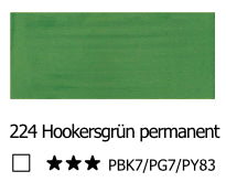 LIQUITEX Professional Acrylic Ink - Hooker's Grün Permanent  224 (30ml)