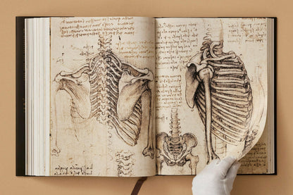 Leonardo. Sämtliche Gemälde und Zeichnungen (German)