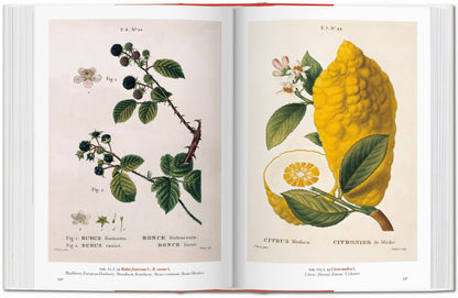 A Garden Eden. Masterpieces of Botanical Illustration. 45th Ed. (German, French, English)