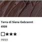 LUKAS Cryl PASTOS (HEAVY BODY) - Terra di Siena Gebrannt  4109 (37ml)