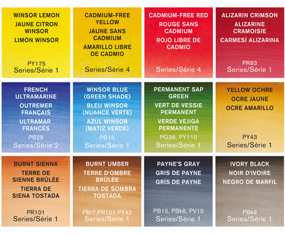 Set de estudio de acuarela profesional WINSOR &amp; NEWTON™ (tubos de 12x10 ml) con accesorios
