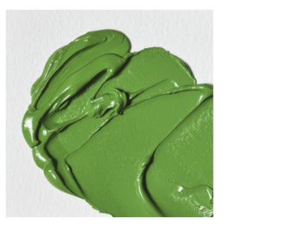 WINSOR&NEWTON Winton Feine Ölfarbe - PERMANENT GRÜN HELL  483 (37ml)