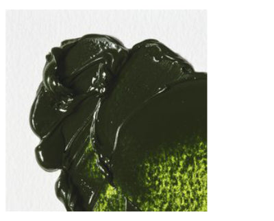 WINSOR&NEWTON Winton Feine Ölfarbe - SAFTGRÜN  599 (37ml)