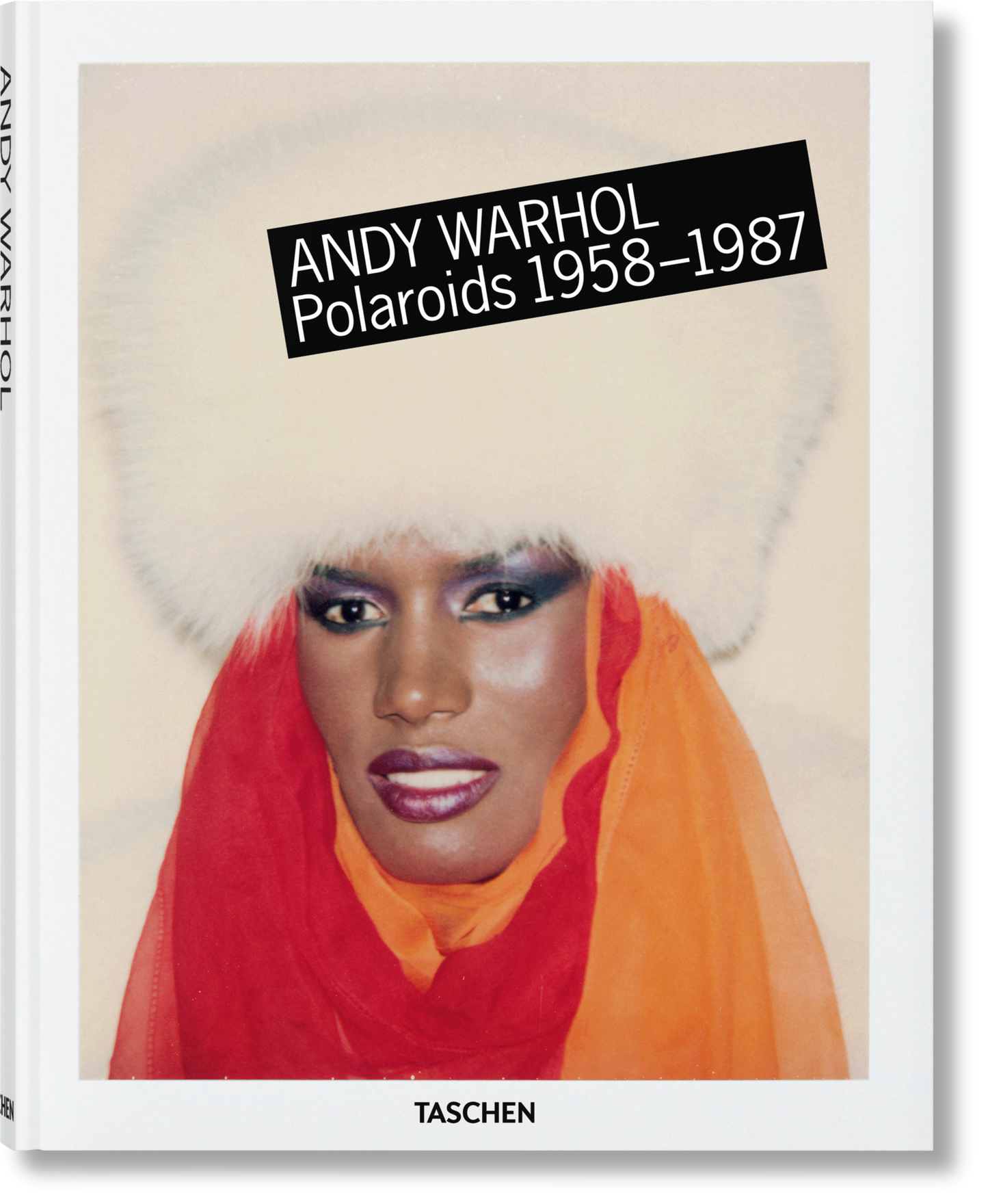 Andy Warhol. Polaroids 1958-1987 (German, French, English)