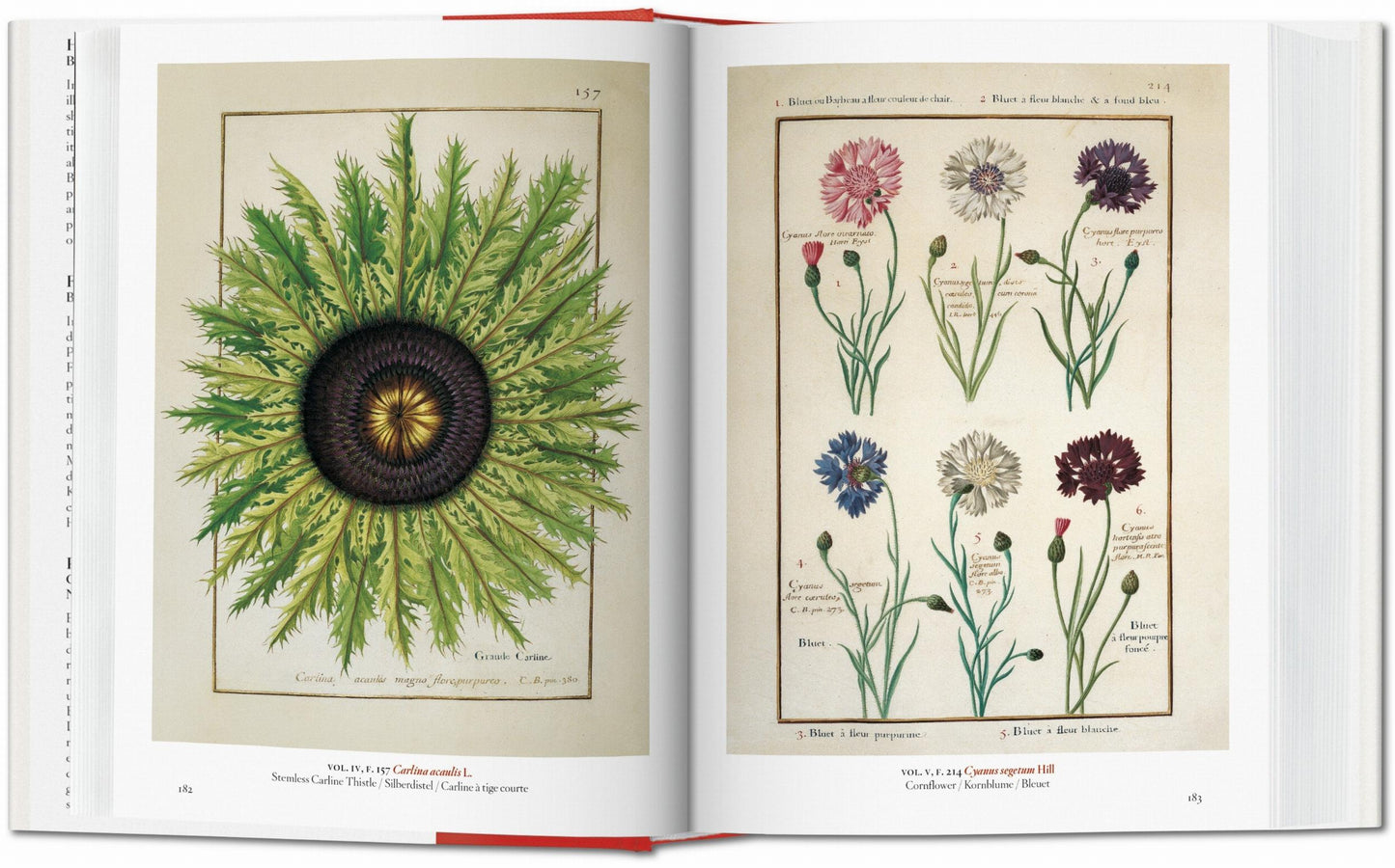 A Garden Eden. Masterpieces of Botanical Illustration. 45th Ed. (German, French, English)