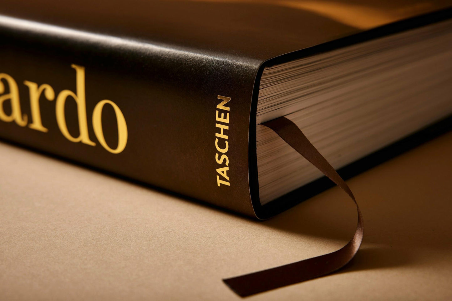 Leonardo. Sämtliche Gemälde und Zeichnungen (German)